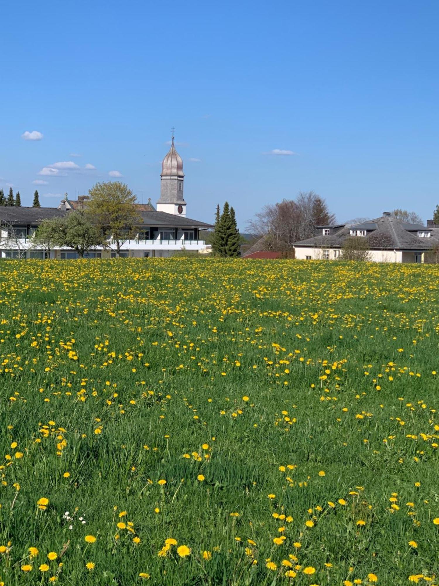 Pension Linde Höchenschwand Buitenkant foto